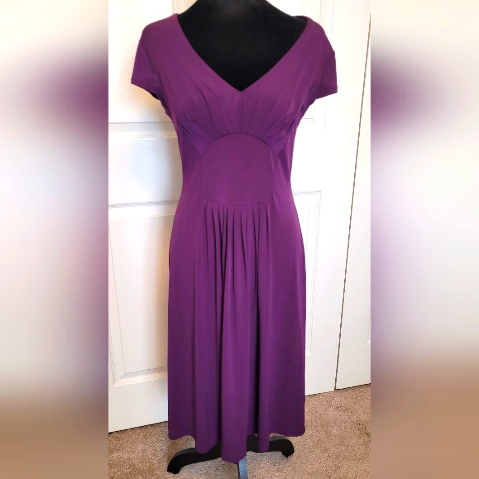 Elegant Purple Womens Dress Size 6 Bisou Bisou Brand